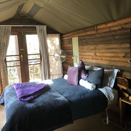 Teniqua Treetops Karatara Settlement Zewnętrze zdjęcie