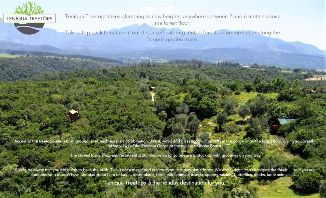 Teniqua Treetops Karatara Settlement Zewnętrze zdjęcie