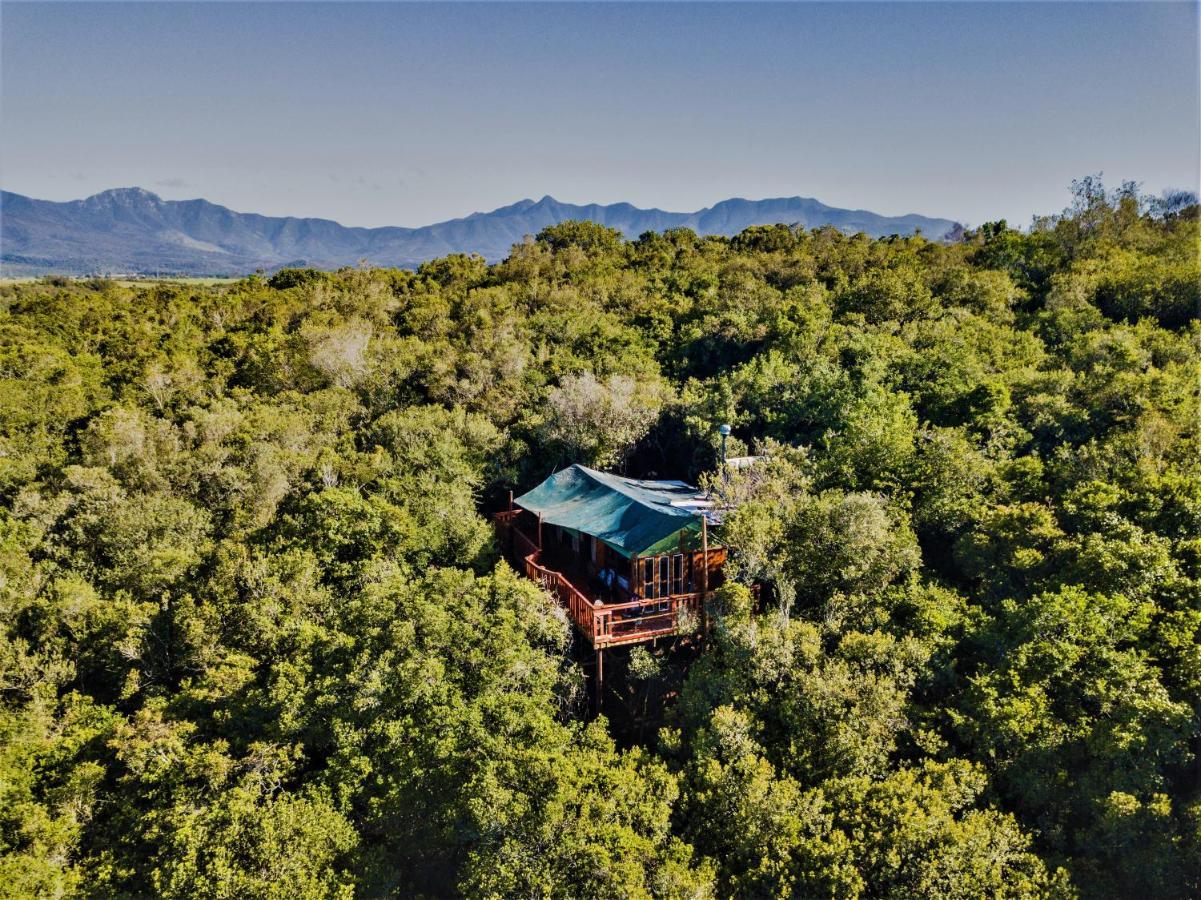 Teniqua Treetops Karatara Settlement Zewnętrze zdjęcie