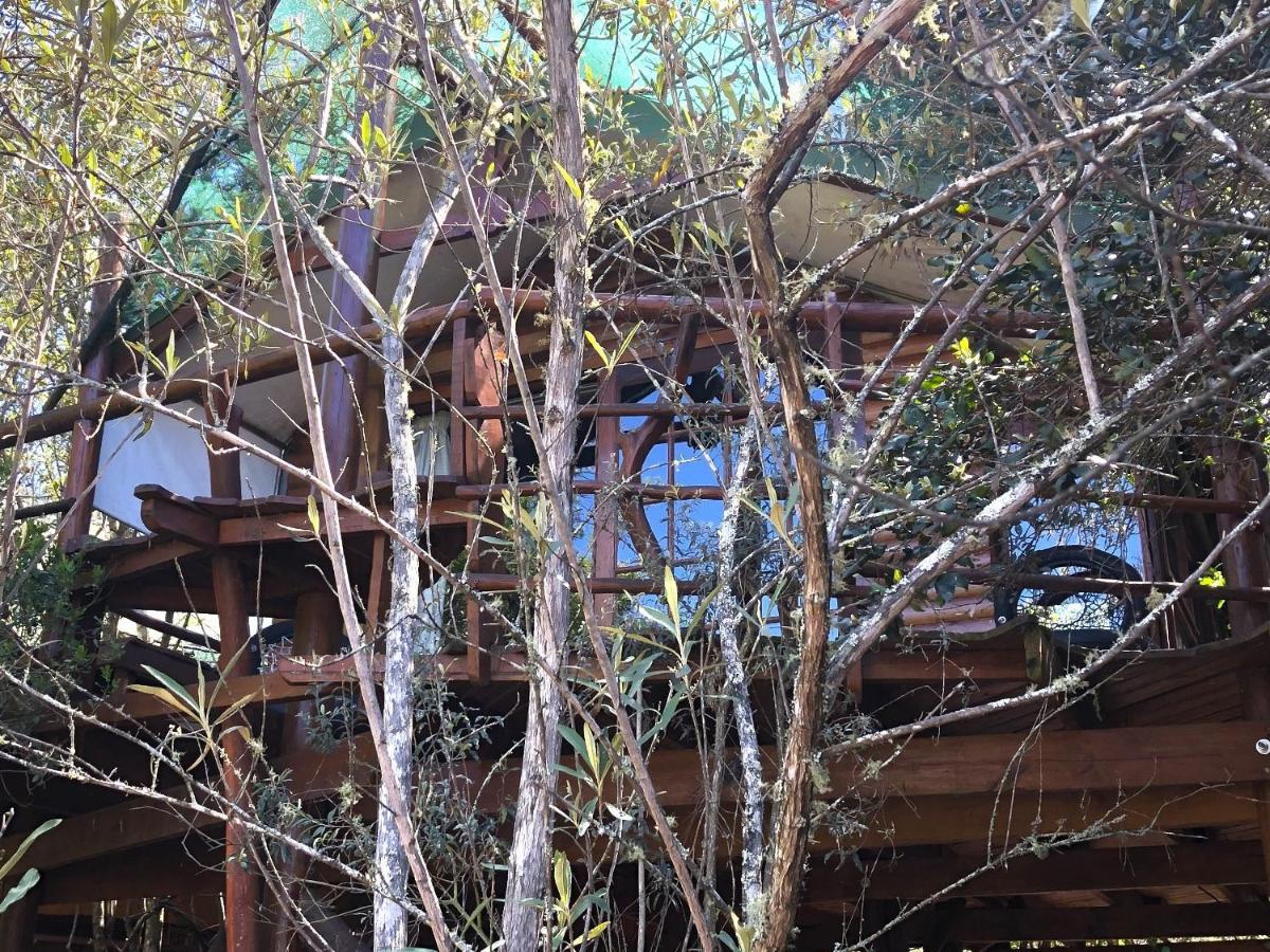Teniqua Treetops Karatara Settlement Zewnętrze zdjęcie