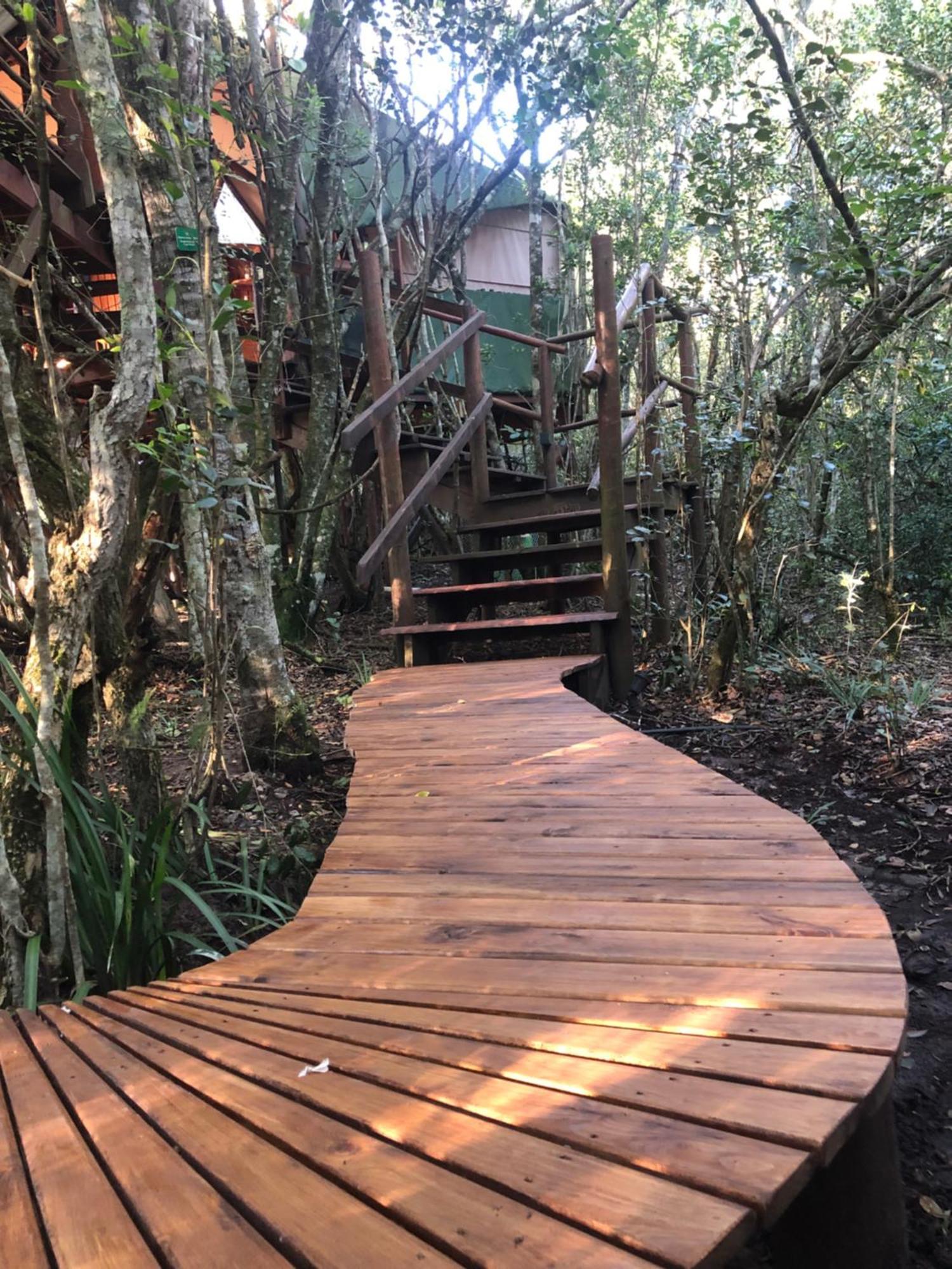 Teniqua Treetops Karatara Settlement Zewnętrze zdjęcie