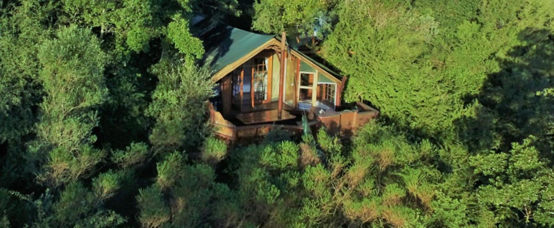 Teniqua Treetops Karatara Settlement Zewnętrze zdjęcie
