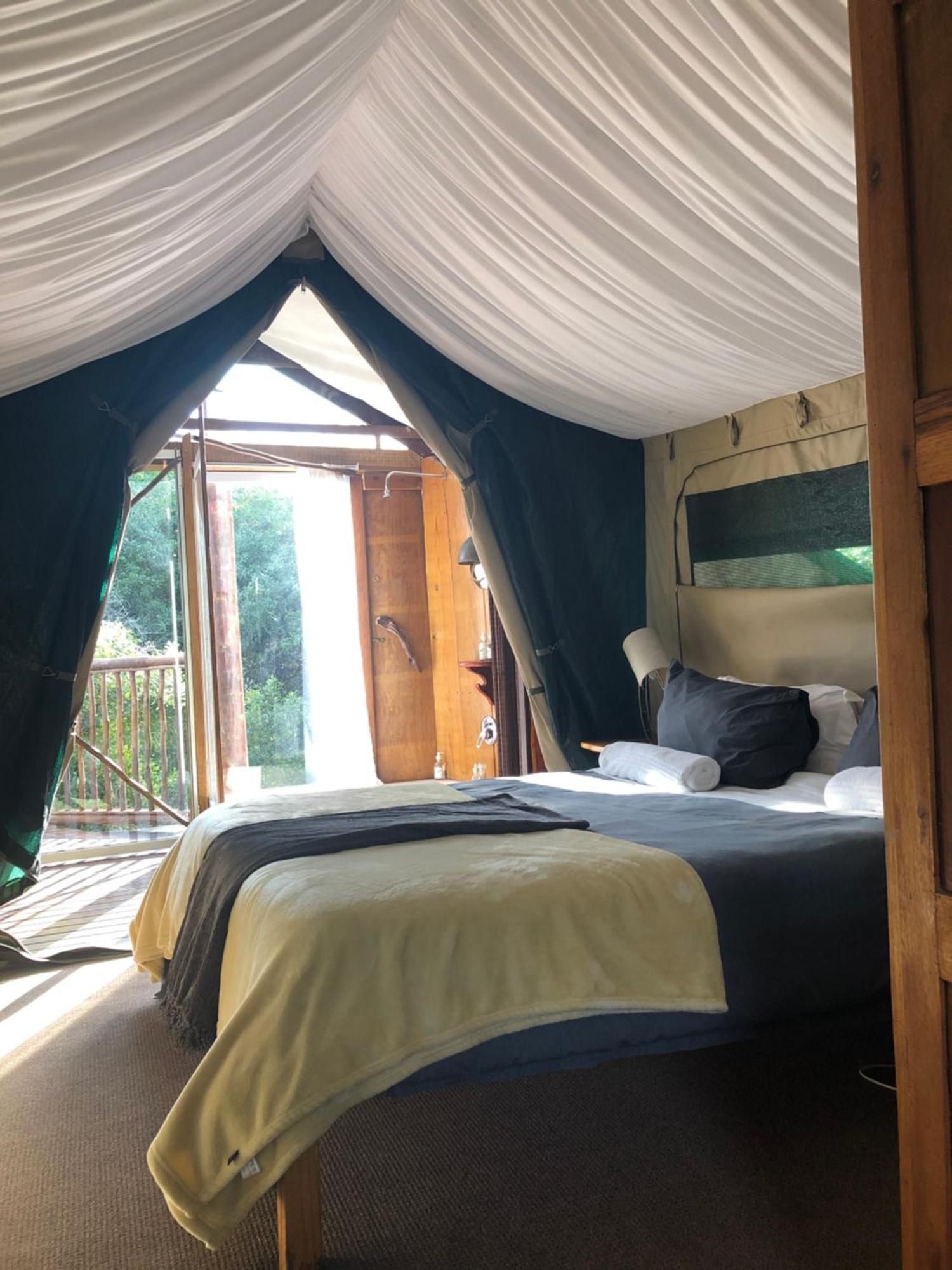Teniqua Treetops Karatara Settlement Zewnętrze zdjęcie