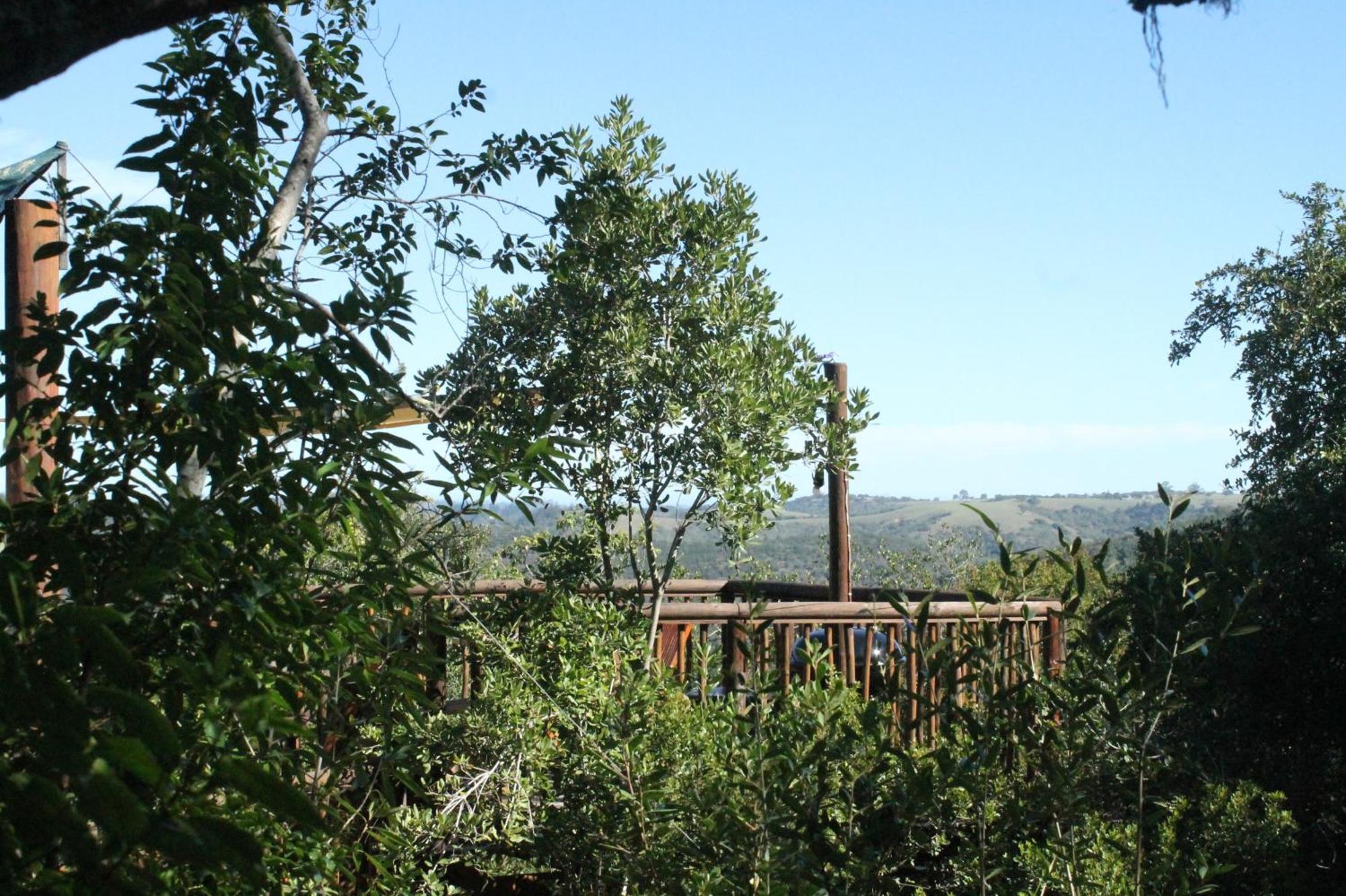 Teniqua Treetops Karatara Settlement Zewnętrze zdjęcie