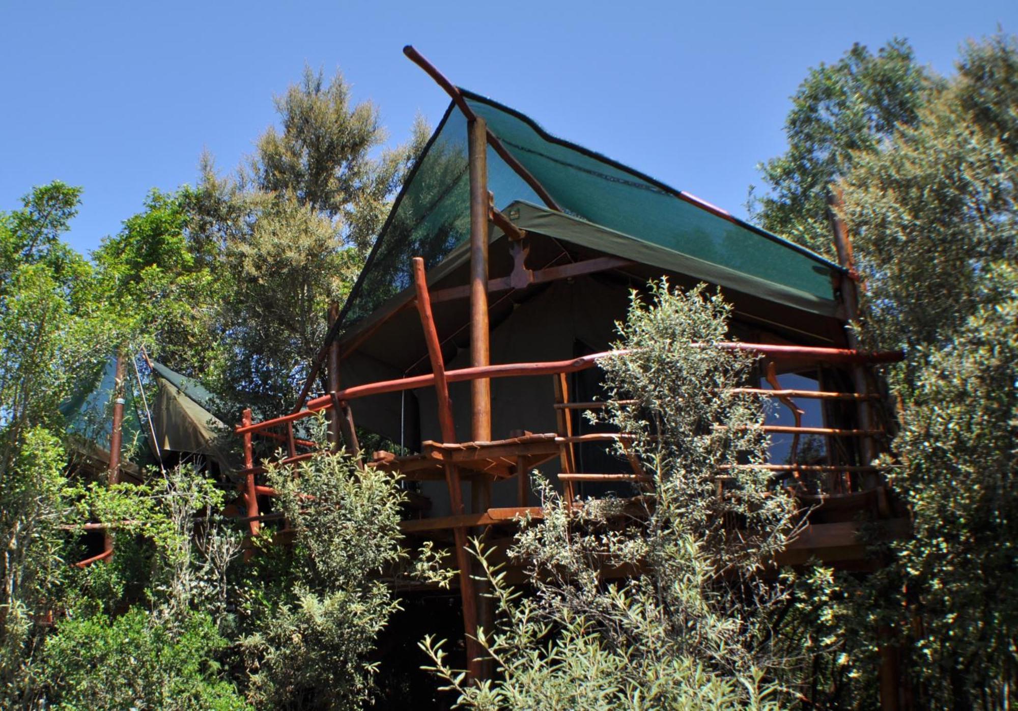 Teniqua Treetops Karatara Settlement Zewnętrze zdjęcie