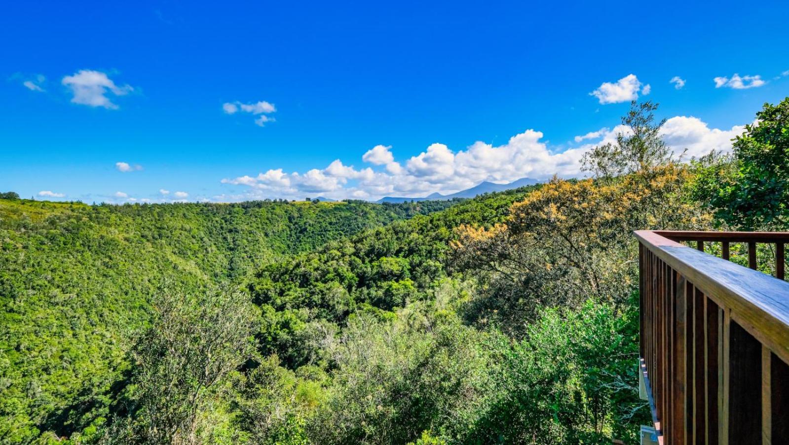 Teniqua Treetops Karatara Settlement Zewnętrze zdjęcie