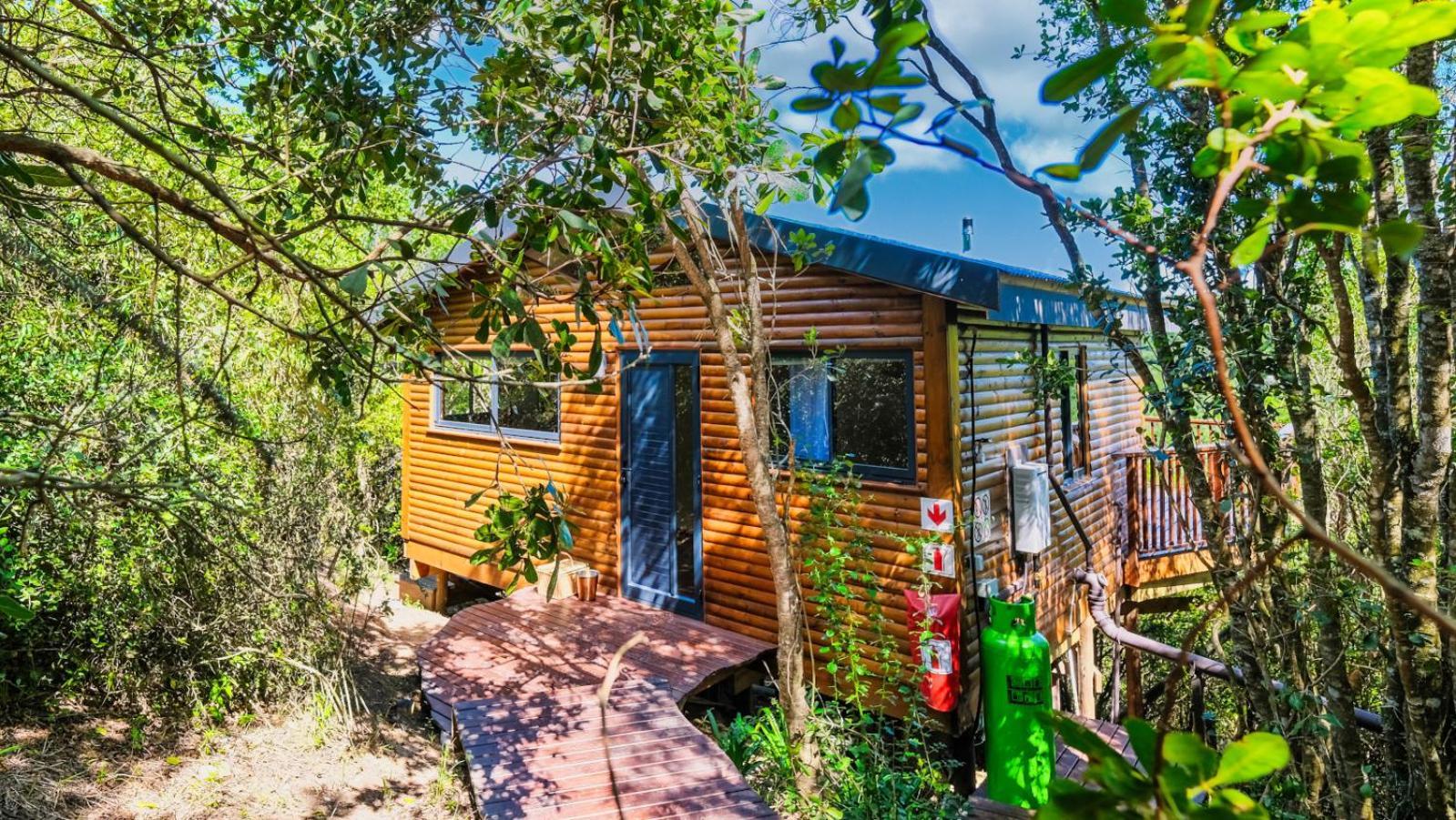 Teniqua Treetops Karatara Settlement Pokój zdjęcie