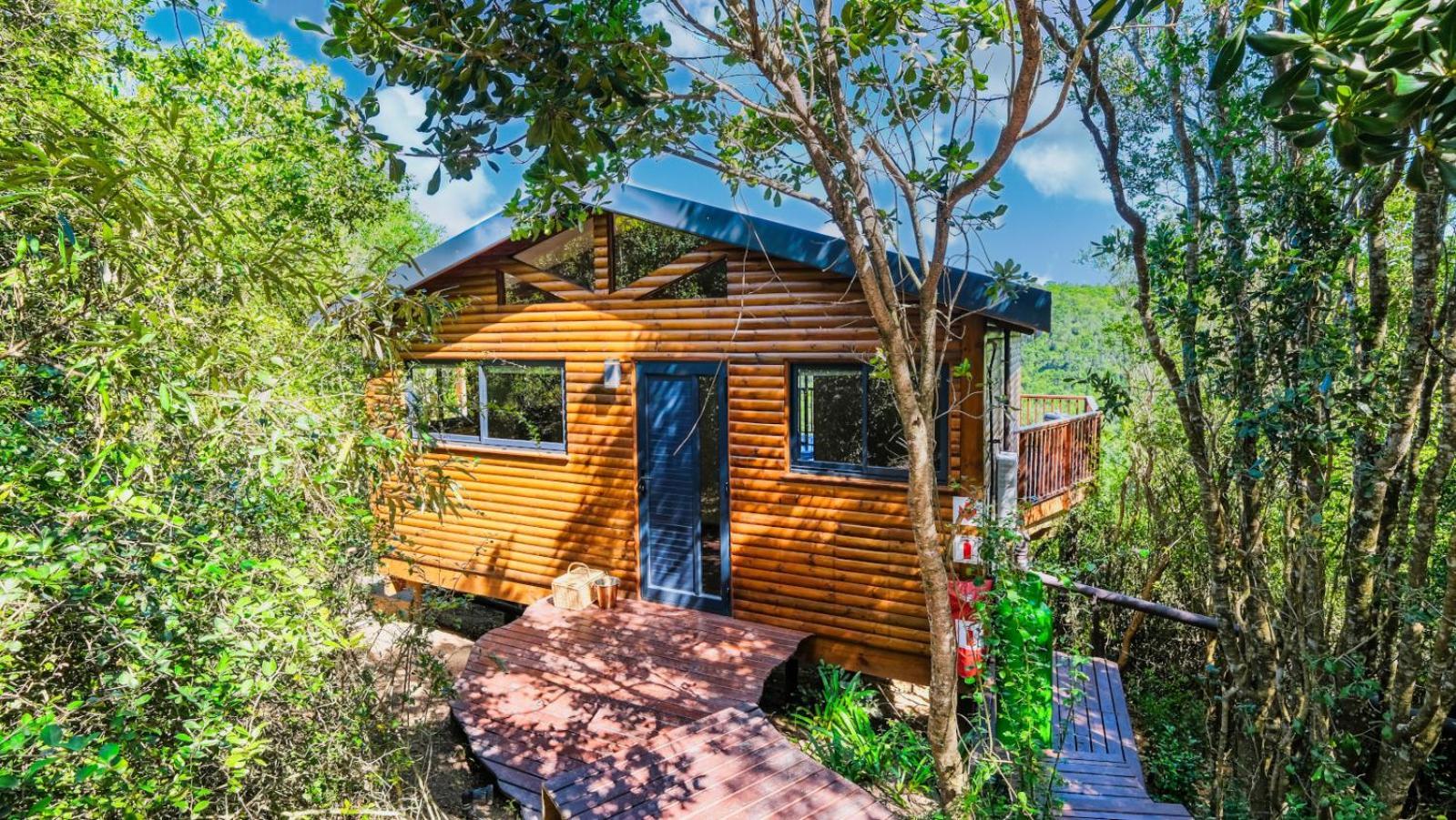 Teniqua Treetops Karatara Settlement Pokój zdjęcie