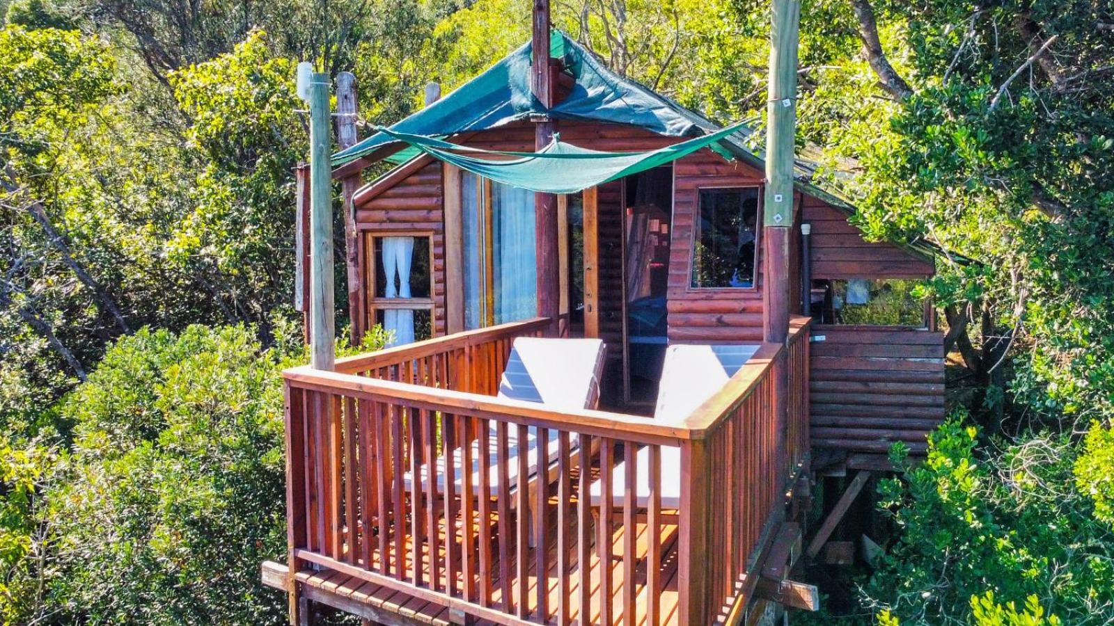 Teniqua Treetops Karatara Settlement Pokój zdjęcie