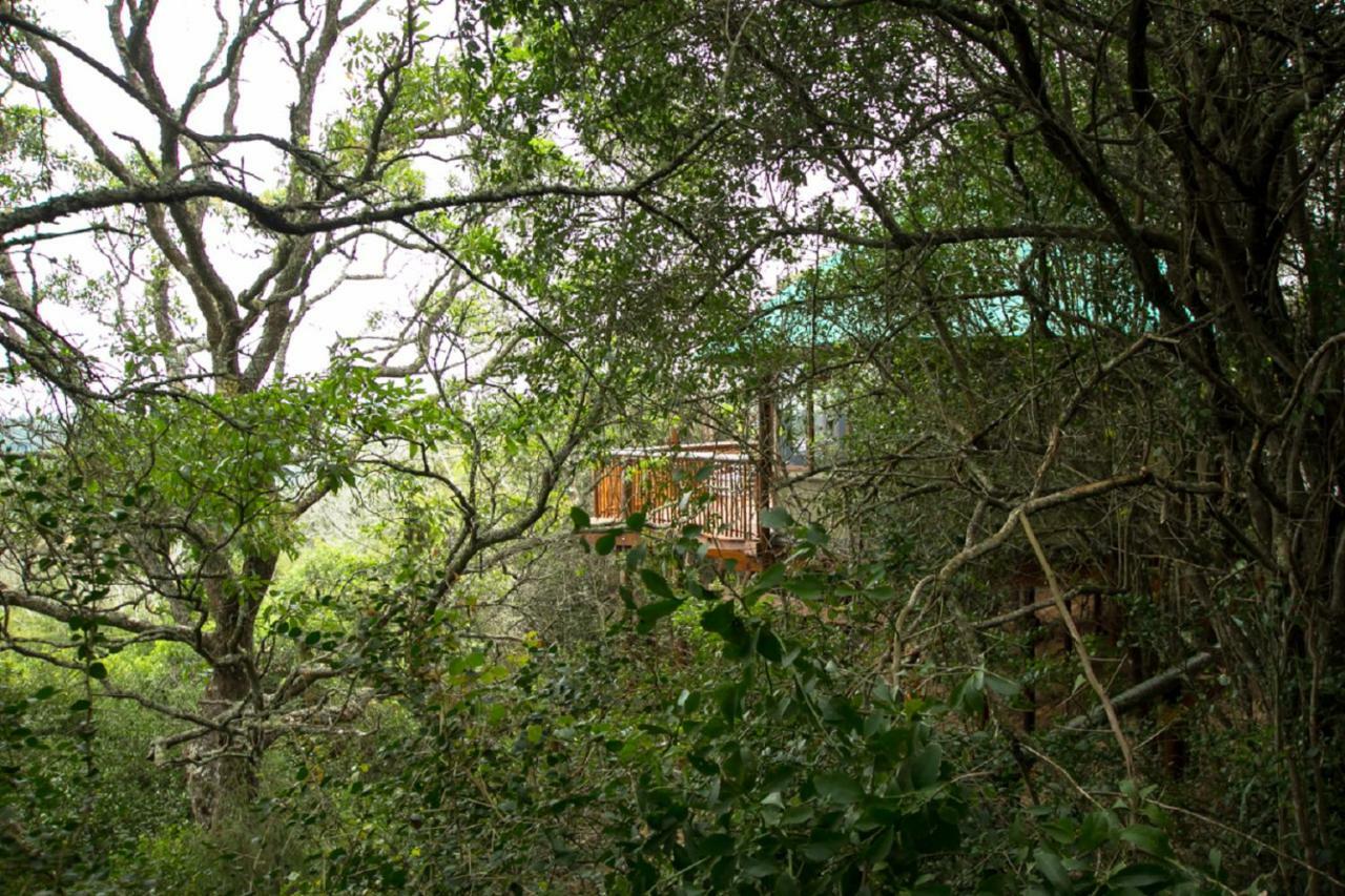 Teniqua Treetops Karatara Settlement Zewnętrze zdjęcie