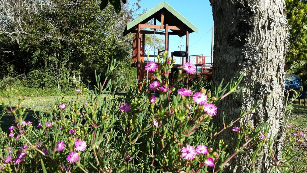 Teniqua Treetops Karatara Settlement Zewnętrze zdjęcie